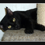 To je zase den , Ach jo !!